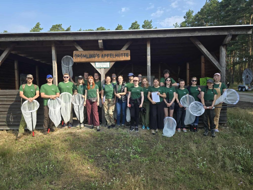 „Pasikoniki” i „Dzikie Pszczoły”